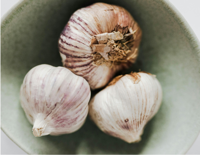 garlic